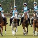 WhatsApp Image 2026-02-17 at 16.40.12