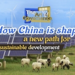 WhatsApp Image 2026-04-28 at 11.44.57