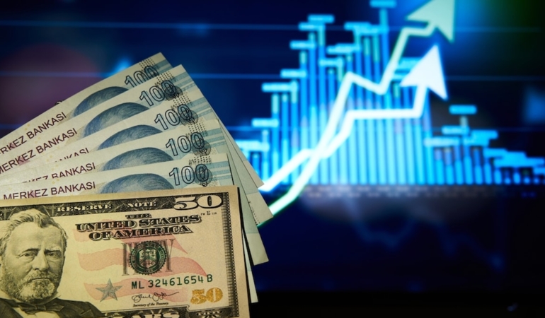 Dolar/TL 49,1630 Seviyesine Ulaşarak Tarihi Zirvesini Yeniledi
