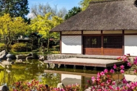 Japonya Kırsalında 1 Dolarlık Belediyelik Konutlar Yüksek Masraflar Nedeniyle Satılamıyor